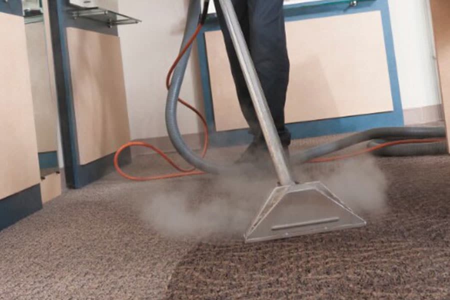 steam carpet cleaning